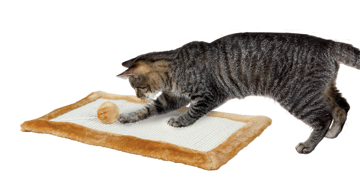 Tapis à gratter