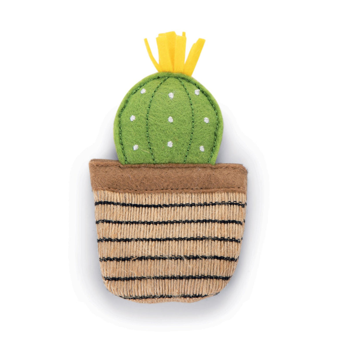 Cactus à l'herbe à chat