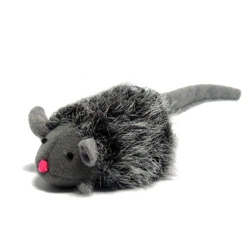 Souris couinante