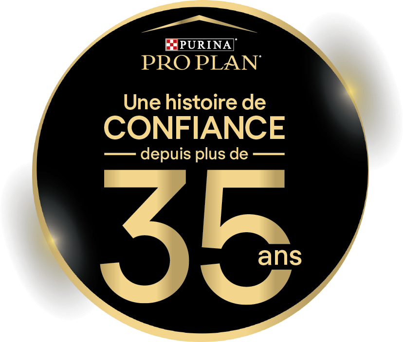 Pro Plan Veterinary Diets UR St/Ox Urinary au Poisson – Croquettes pour chat