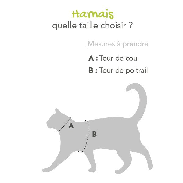 Parure harnais et laisse Flash