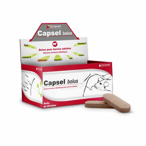 CAPSEL BTE 20 BOLUS