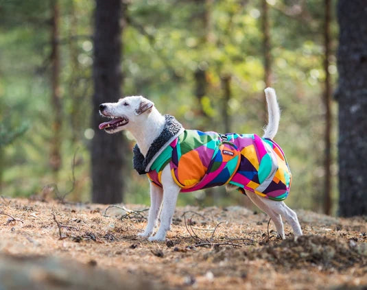 Pomppa Toppa manteau impermeable doublé pour petit chien