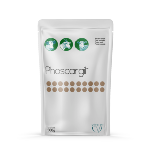 PHOSCARGIL POUDRE SACHET 500G