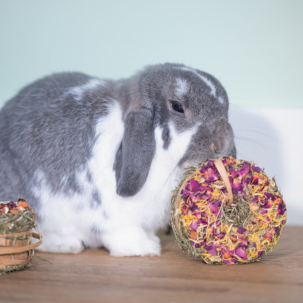Donut de foin