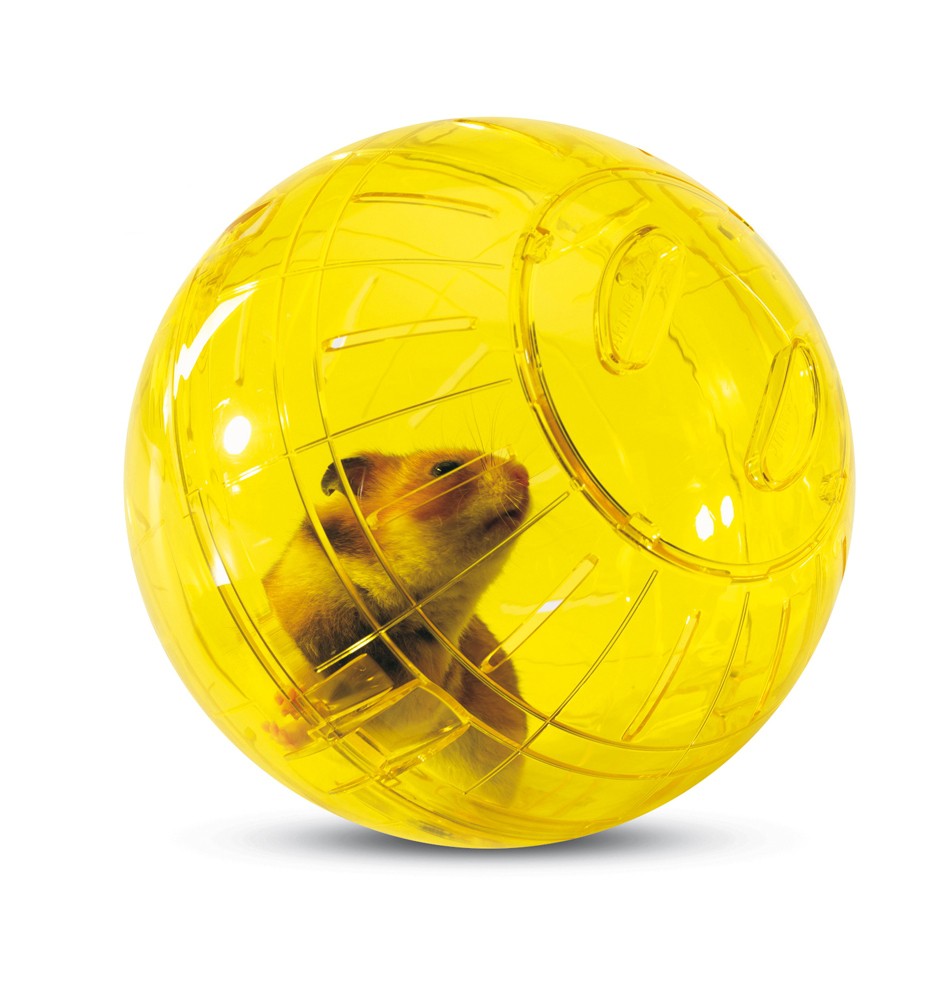Boule d'exercice Runner