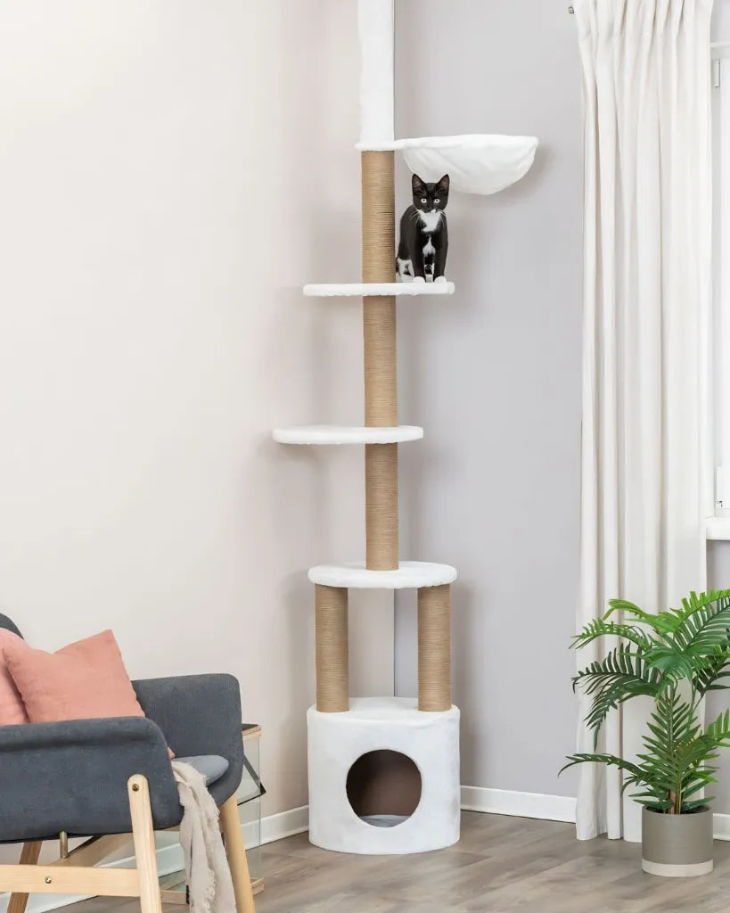 Arbre a chat Aurelio a hauteur ajustable