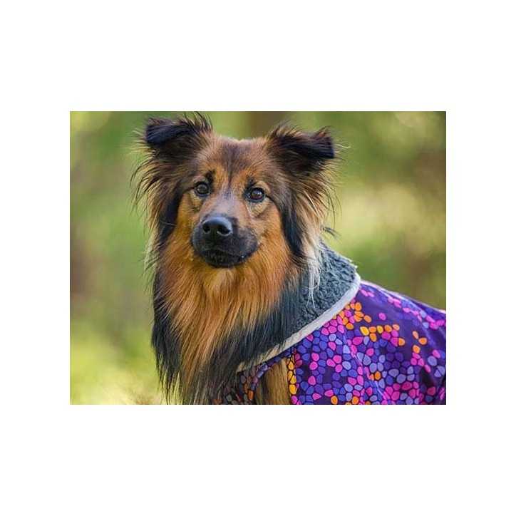 Pomppa Toppa manteau imperméable doublé pour chien