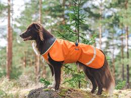 Pomppa Toppa manteau imperméable doublé pour chien