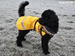 Pomppa Toppa manteau imperméable doublé pour chien
