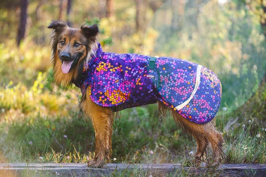 Pomppa Toppa manteau impermeable doublé pour petit chien