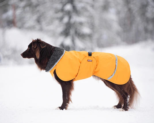 Pomppa Toppa manteau impermeable doublé pour petit chien
