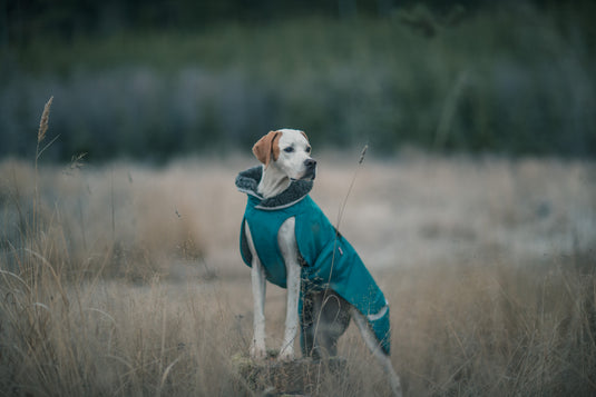Pomppa Toppa manteau impermeable doublé pour petit chien