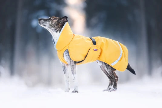 Pomppa Toppa manteau impermeable doublé pour petit chien