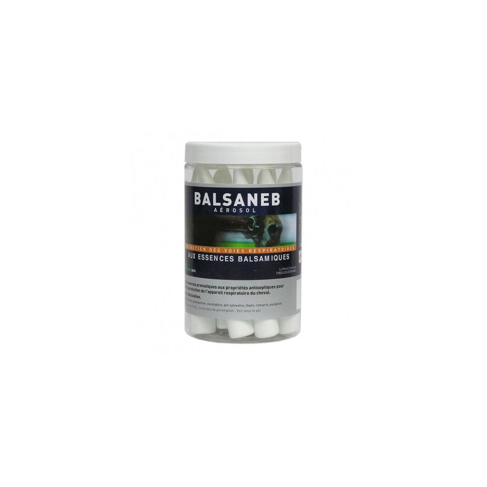 BALSANEB Aérosol 14 unidoses