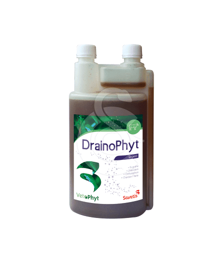 DRAINOPHYT FL 500ML
