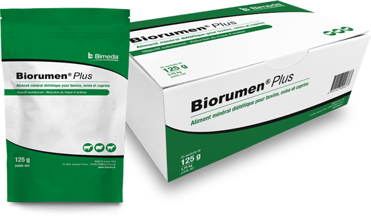 BIORUMEN PLUS BTE 10 SACHETS X 125G