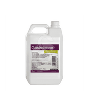 GASTROBIONE 500 ML