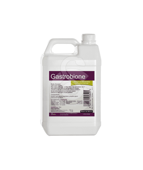 GASTROBIONE 500 ML