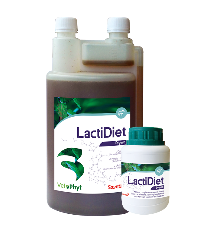 LACTIDIET 1L