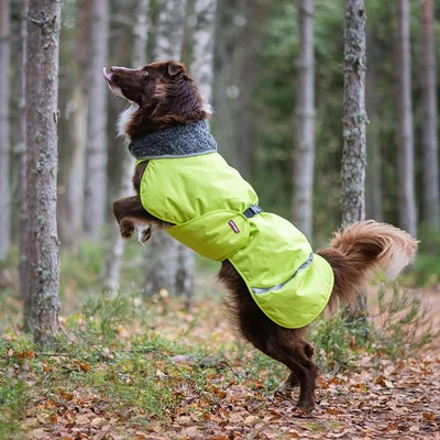 Pomppa Toppa manteau impermeable doublé pour petit chien