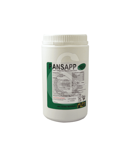 PANSAPP POT 900G