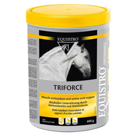 EQUISTRO TRIFORCE 600 G