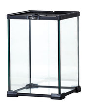 Terrarium Reptizoo